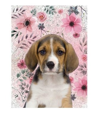 Pamiętnik błyszczący 18-3660PS PASO