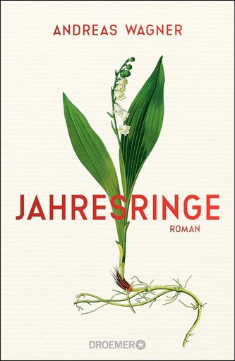 Jahresringe