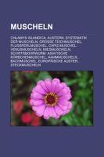 Muscheln