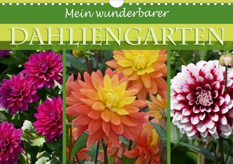 Mein wunderbarer Dahliengarten (Wandkalender 2021 DIN A4 quer)