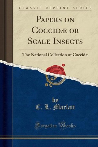 Papers on Coccidæ or Scale Insects