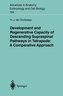 Development and Regenerative Capacity of Descending Supraspinal Pathways in Tetrapods: A Comparative Approach