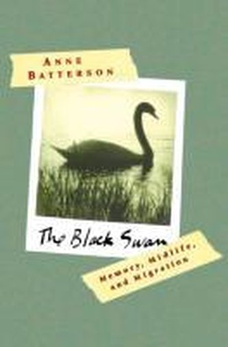 The Black Swan: Memory, Midlife, and Migration