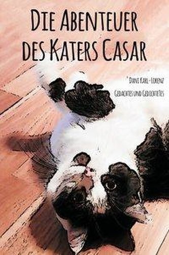 Die Abenteuer des Katers Casar