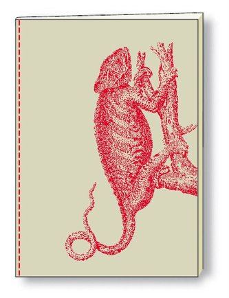 Notatnik ozdobny A5 BR NB S07 A ROSSI