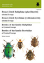 Brouci čeledí plavčíkovití a vyklenulcovití / Beetles of the family Haliplidae and Byrrhidae