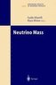 Neutrino Mass