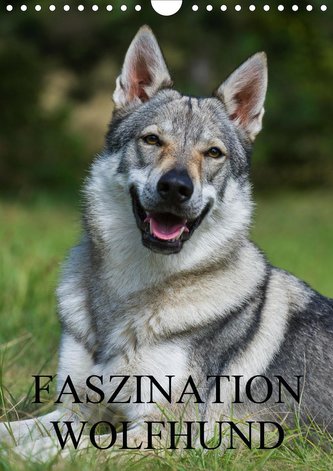 Faszination Wolfhund (Wandkalender 2021 DIN A4 hoch)