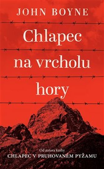 Chlapec na vrcholu hory Chlapec na vrcholu hory