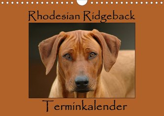 Rhodesian Ridgeback Terminkalender (Wandkalender 2021 DIN A4 quer)