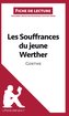 Les Souffrances du jeune Werther de Goethe (Analyse de l'oeuvre)