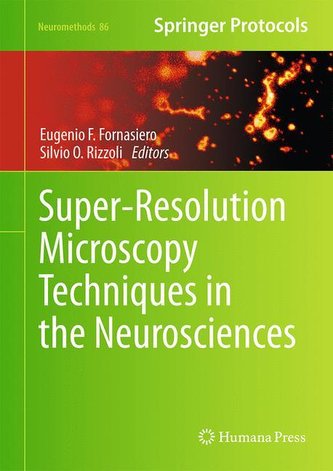 Super-Resolution Microscopy Techniques in the Neurosciences