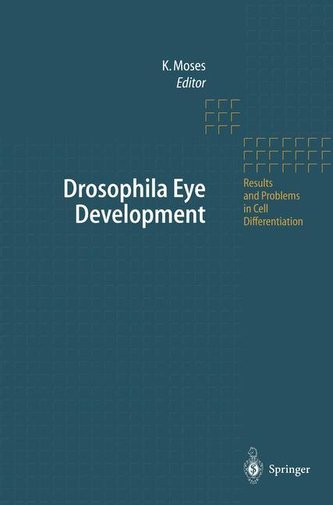 Drosophila Eye Development