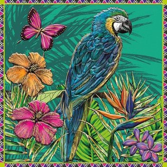 Karnet kwadrat z kopertą Parrot & Butterly