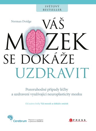 Váš mozek se dokáže uzdravit Váš mozek se dokáže uzdravit