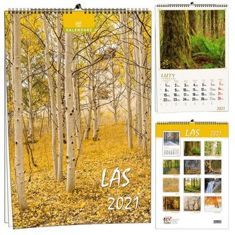 Kalendarz 2021 13 Plansz Las EV-CORP