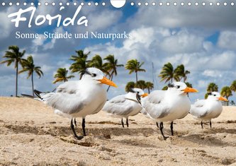 Florida - Sonne, Strände und Naturparks (Wandkalender 2020 DIN A4 quer)