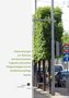 Untersuchungen zur Relevanz und ökonomischen Tragweite alternativer Pflegestrategien bei der Straßenbaumpflege