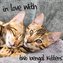 in love with 2 bengal kittens (Wall Calendar 2021 300 × 300 mm Square)