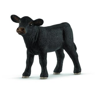 Cielę Aberdeen Angus