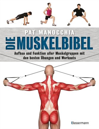 Die Muskelbibel. Aufwärmtraining, Muskelaufbautraining, Kraftausdauertraining, Maximalkrafttraining. Mit und ohne Geräte. Für An