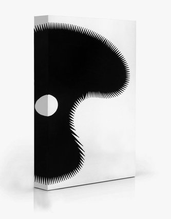 Ekaterina Shapiro-Obermair