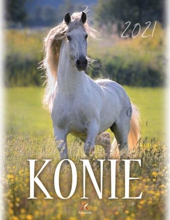 Kalendarz 2021 Ścienny Konie