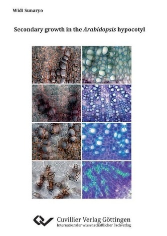 Secondary growth in the Arabidopsis hypocotyl