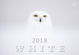 Kalendář nástěnný 2018 - White/Exclusive