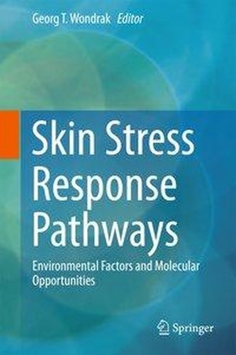 Skin Stress Response Pathways:  Environmental Factors and Molecular Opportunities