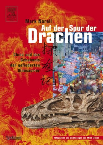 Auf der Spur der Drachen