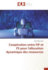 Coopération entre FIP et FS pour l'allocation dynamique des ressources
