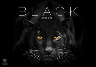 Kalendář nástěnný 2018 - Black/Exclusive