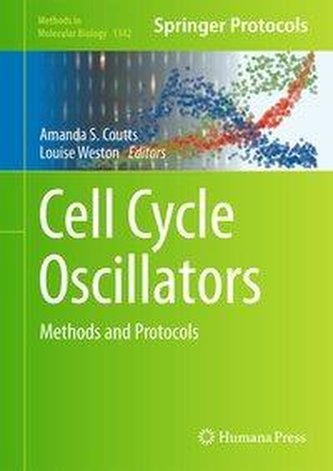 Cell Cycle Oscillators