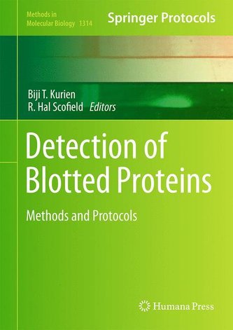 Detection of Blotted Proteins