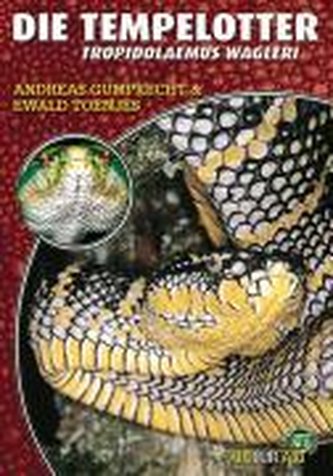 Die Tempelotter
