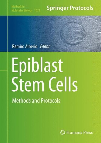 Epiblast Stem Cells