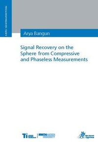 Signal Recovery on the Sphere from Compressive and Phaseless Measurements