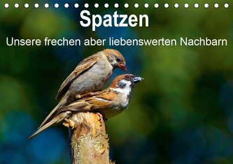 Spatzen, unsere frechen aber liebenswerte Nachbarn (Tischkalender 2020 DIN A5 quer)
