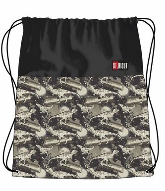 Worek na obuwie Dinozaury