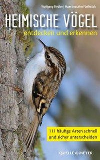 Heimische Vögel ganz nah