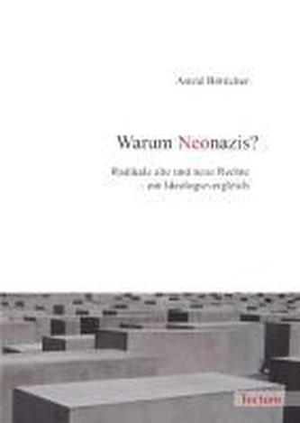 Warum Neonazis?