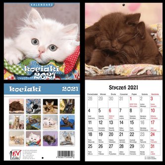 Kalendarz 2021 13 Plansz 16x16cm Kociaki EV-CORP