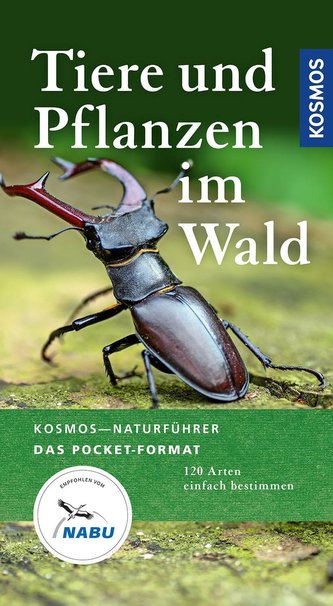 Tiere und Pflanzen im Wald