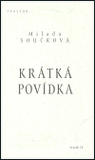 Krátká povídka
