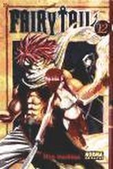 Fairy Tail 12