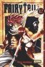 Fairy Tail 12