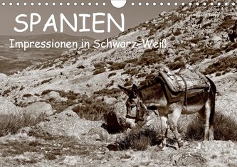Spanien Impressionen in Schwarz-Weiß (Wandkalender 2021 DIN A4 quer)
