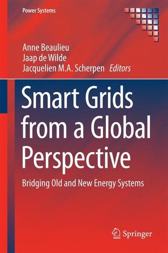 Smart Grids from a Global Perspective