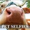 Pet Selfies (Wall Calendar 2021 300 × 300 mm Square)